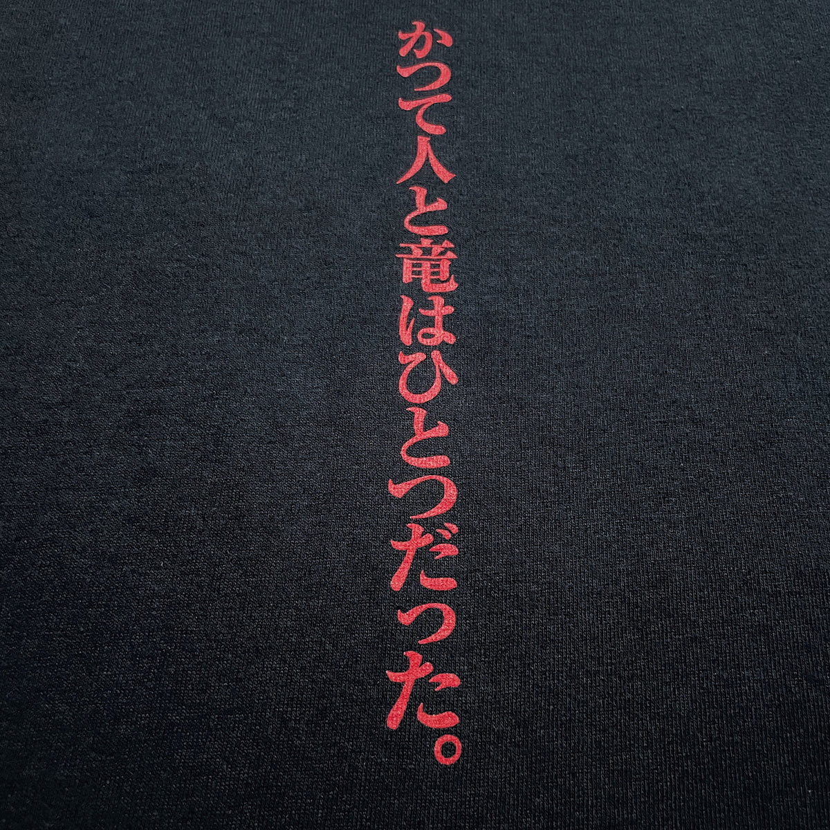 00s  ゲド戦記  “フランス版プロモというエグすぎる代物を現環境で平然とご提案出来るのが私です。＼(^o^)／(完全初見。もはや海外規格のガッツリ当時物は存在しないと思ってました)”